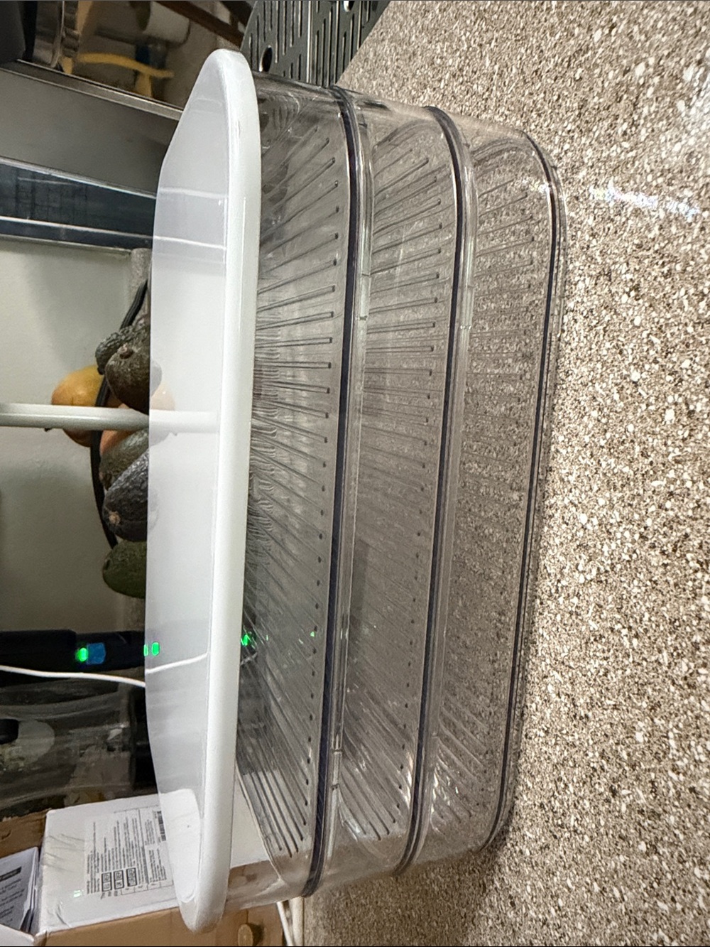 Transparent Food Storage Box - Picture 6 of 9